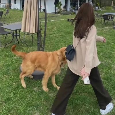 狮界末日